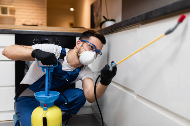 Best Wasp Removal Services  in Kingsford, MI