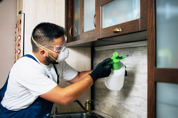 Best Pest Inspection Near Me  in Kingsford, MI