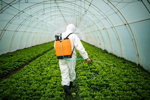 Best Pest Control Cost  in Kingsford, MI