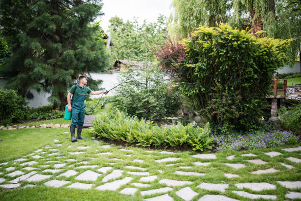 Trusted Kingsford, MI Pest Control Experts