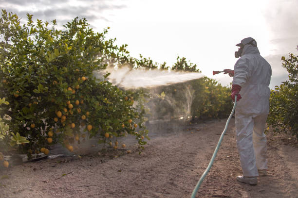 Best Mosquito Control Services  in Kingsford, MI
