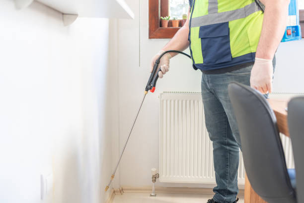 Best Local Pest Control Services  in Kingsford, MI